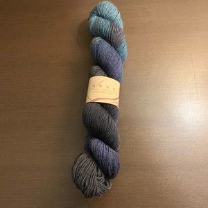 Lorna's Laces hand dyed yarn skein